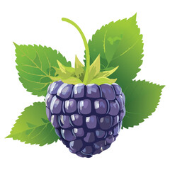 Sweet Boysenberries, Juicy Hybrid Berry