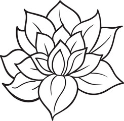 Obraz premium Botanical flower outline vector illustration, line art