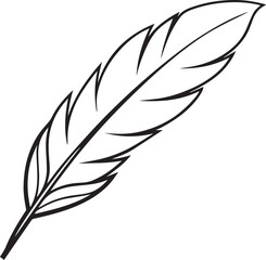 Fototapeta premium Feather outline vector illustration, line art