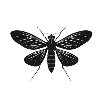 Mosquito black silhouette isolated on a transparent background