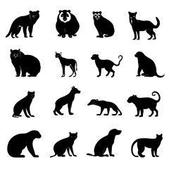 Nocturnal & Unique Mammals black silhouette isolated on a transparent background