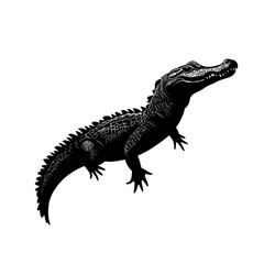Fototapeta premium Nile Crocodile black silhouette isolated on a transparent background