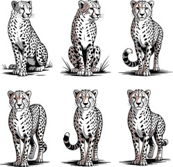 Obraz premium A striking black and white illustration of a leopard walking forward