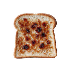 A single slice of toasted bread with a golden-brown crust and dark spots, presented on a white isolated background.