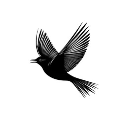 Fototapeta premium Swallow black silhouette isolated on a transparent background
