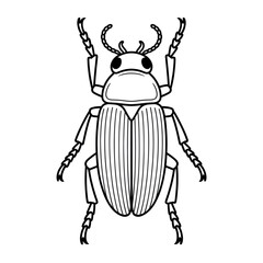 A black and white beetle illustration line art of a coloring and 