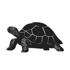 Obraz premium Tortoise black silhouette isolated on a transparent background