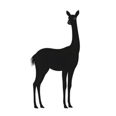 Fototapeta premium Vicuna black silhouette isolated on a transparent background