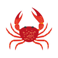 Red crab in a cartoon style: A vibrant and bold cartoon depiction of a red crab, capturing its unique features and adding a touch of whimsy.