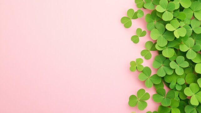 Clover leaves arrangement on pink background