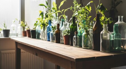 Indoor Green Plants in Glass Bottles on Wooden Table Near Sunlight