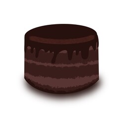Delicious Chocolate Cake on White Background