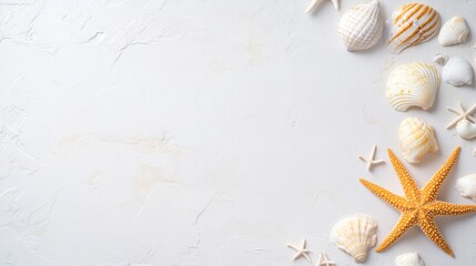 Seashells and starfish arrangement on light background