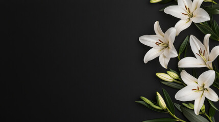 Obraz premium White lily flower blossom petal green leaf black background floral arrangement nature fresh bloom elegant beauty isolated