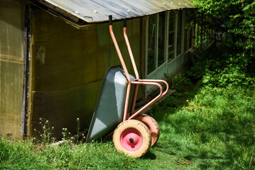 Used garden wheelbarrow with red wheel stands on green grass near shed, ready for autumn harvest...