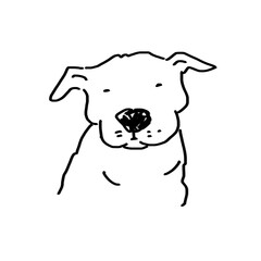 ブル系の犬