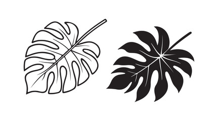 Two Monstera Leaves Line Art Black White Illustration