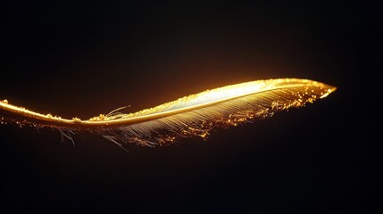 Golden feather close up