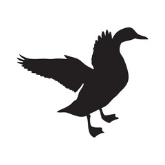 Obraz premium silhouette of a duck