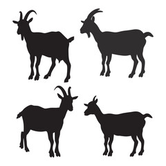 Naklejka premium set of black silhouettes of goats
