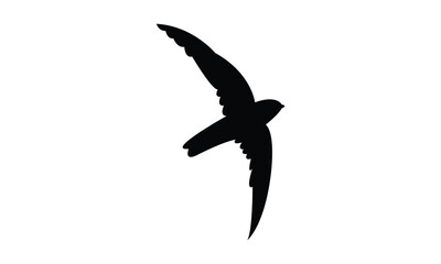 Flying Ameline swiftlet bird Silhouette Design  And Vector Illustration. 