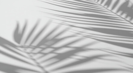 Subtle Palm Leaf Shadows Minimalist Plant Background for Relaxing and Natural Aesthetic