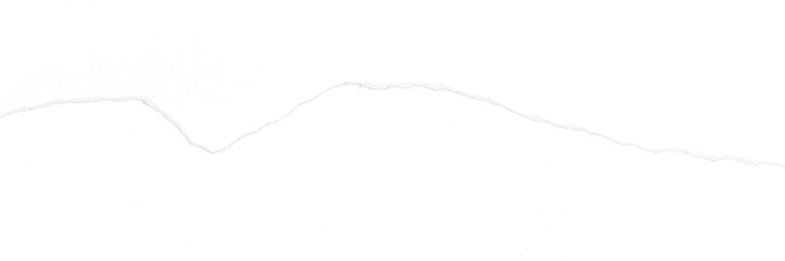 torn or ripped paper isolated on transparent png background,realistic torn paper edges	
