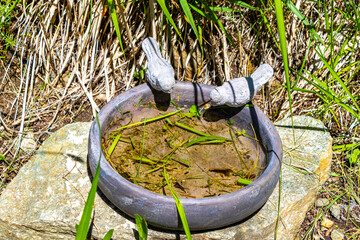 Water trough for birds in the forest in Tyrol Austria.