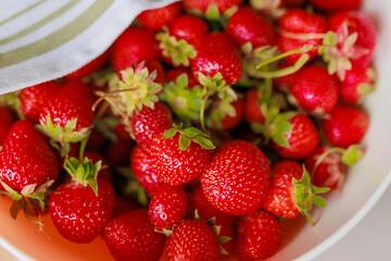 Fresh sweet strawberries in a white bowl on a white background. Seasonal berries.