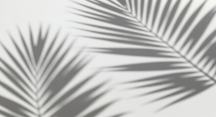 Black and white feathers create a striking, futuristic pattern with shiny silver lines and a subtle striped texture against a minimalist backdrop