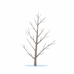 Obraz premium Sparse Branch Outline, Clean Modern Tree Illustration