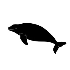 Naklejka premium Dugong black silhouette isolated on a transparent background