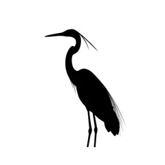 Obraz premium Egret black silhouette isolated on a transparent background