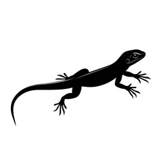 Italian Wall Lizard black silhouette isolated on a transparent background