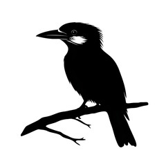 Kookaburra black silhouette isolated on a transparent background