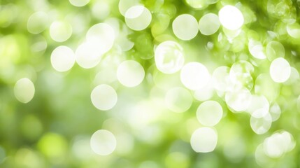 Obraz premium Blurred green foliage background