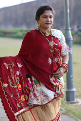 Traditional Indian Woman in Designer Saree with Embroidered Artwork