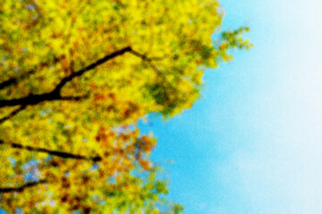 ざらざらの紙とぼやけた紅葉した木の画像