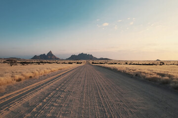 Fototapeta premium Dirt road winds through the dry savanna landscape, lined with sparse vegetation, including grasses and small bushes