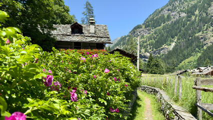 italian  village in the italian alps in gressoney italy