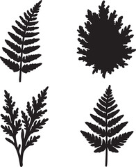 Print