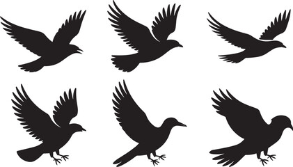 Fototapeta premium Six black bird silhouettes in flight flying wings