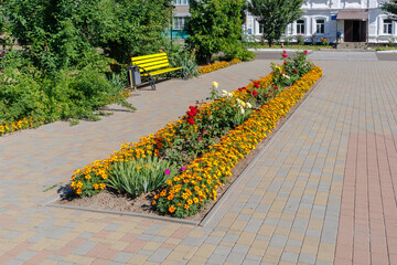 Colorful flowerbed in sunny city park
