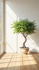 Fototapeta premium green plant in the living room