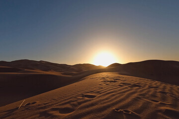 Tranquil landscape of the desert features stunning sand dunes that stretch towards the horizon, illuminated by a breathtaking sunset
