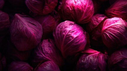 Obraz premium Close-up of vibrant purple cabbages with textured leaves, illuminated dramatically to highlight their rich color and natural patterns.