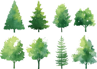 Set of green fir and pine trees in a winter forest holiday scene