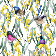 Golden acacia flowers with fairy wrens seamless pattern. Hand drawn watercolor illustration. Golden wattle with Australian native birds floral decoration elegant pattern design on white background