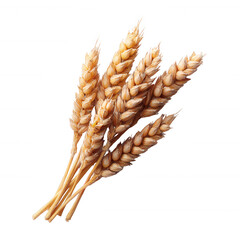 A bundle of golden wheat stalks arranged neatly, showcasing the rich texture and color. Ideal for themes of agriculture, nature, or harvest.