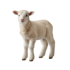 Fototapeta premium A cute and fluffy lamb standing gracefully on a white isolated background, showcasing its soft wool and innocent expression.